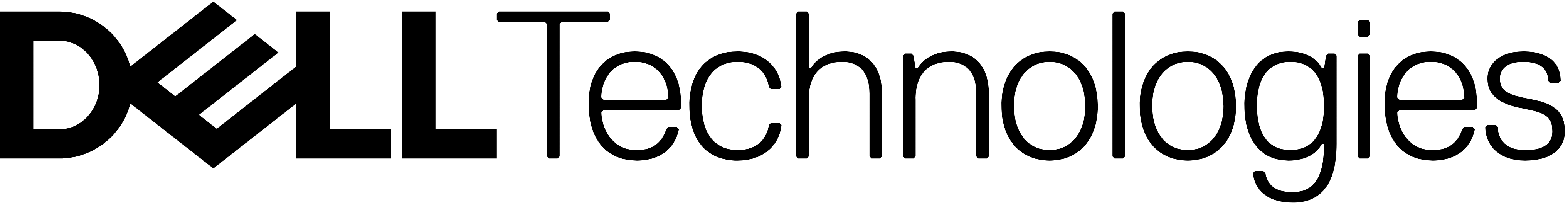 dell2